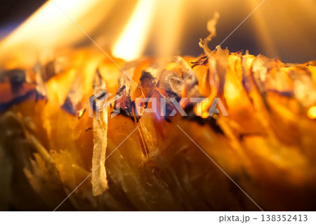 Bonfire ignition burning. Material for igniting Bonfire ignition burning. Material for igniting 138352413
