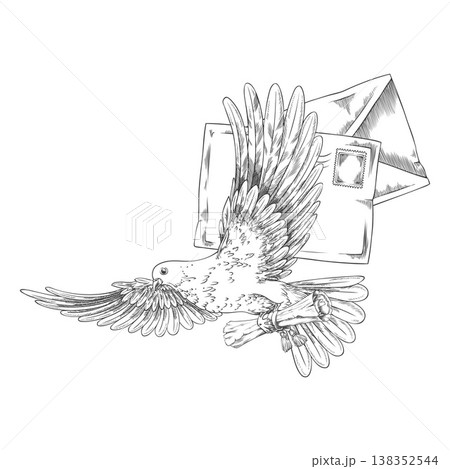 Dove with scroll flying sketch, envelopes letter with postage stamp and pigeon vector engraved hand drawn illustration 138352544