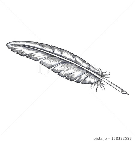 Feather hand drawn illustration, white feather pen for ink writing isolated, single bird plume sketch vector icon Feather hand drawn illustration, white feather pen for ink writing isolated, single bird plume sketch vector icon 138352555