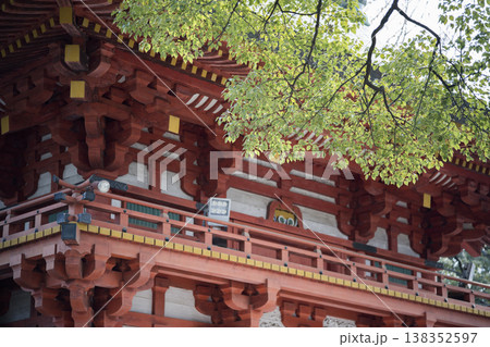 武蔵一宮 氷川神社の楼門 138352597