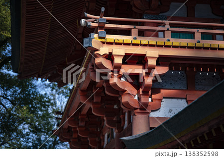 武蔵一宮 氷川神社の楼門 武蔵一宮 氷川神社の楼門 138352598