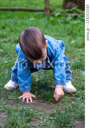 Curious toddler exploring grass outdoors Curious toddler exploring grass outdoors 138353383