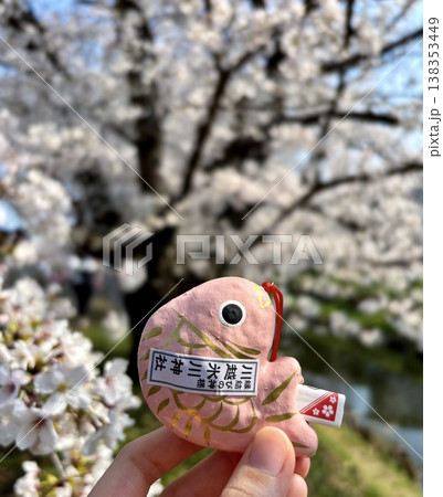 桜とピンクの鯛の恋みくじ 桜とピンクの鯛の恋みくじ 138353449