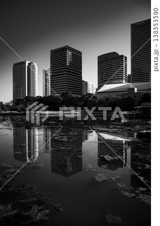 夕方の浜離宮の風景　東京都中央区 138353590