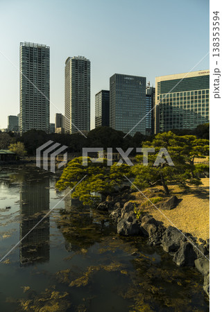 夕方の浜離宮の風景　東京都中央区 138353594