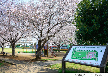 満開の桜が咲く公園 138353602