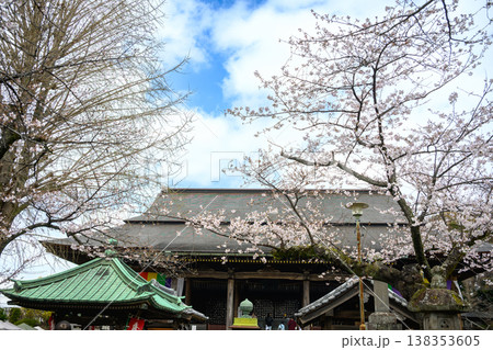 桜とお堂　千葉県市川市　中山法華経寺 138353605