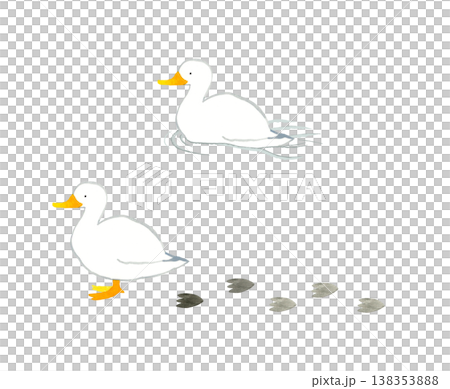 アヒルのセット かわいい・ゆるい動物の手描き水彩イラスト素材 アヒルのセット かわいい・ゆるい動物の手描き水彩イラスト素材 138353888
