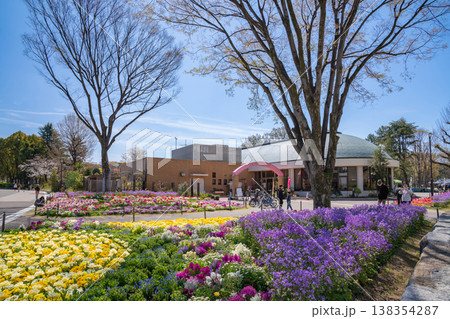 春の名城公園、花たちが咲き乱れる名城公園フラワープラザ〈愛知県名古屋市〉 138354287