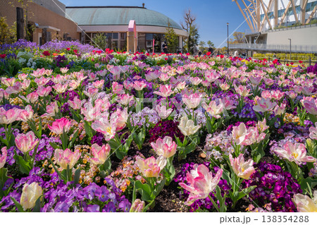 春の名城公園、花たちが咲き乱れる名城公園フラワープラザ〈愛知県名古屋市〉 138354288