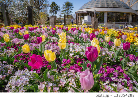春の名城公園、花たちが咲き乱れる名城公園フラワープラザ〈愛知県名古屋市〉 138354298