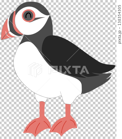 Cute Atlantic Puffin Illustration - Cartoon Sea Bird Cute Atlantic Puffin Illustration - Cartoon Sea Bird 138354305