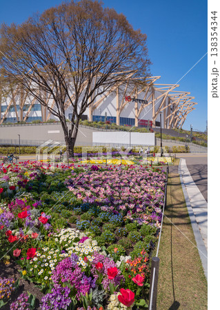 春の名城公園、花たちが咲き乱れる名城公園フラワープラザ〈愛知県名古屋市〉 138354344