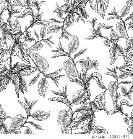 Nettle plants outline vector seamless pattern with hand drawn herbs. Botanical monochrome background for nature cosmetic, eco design, organic product. Black white graphic wild stinging repeat. Nettle plants outline vector seamless pattern with hand drawn herbs. Botanical monochrome background for nature cosmetic, eco design, organic product. Black white graphic wild stinging repeat. 138354375