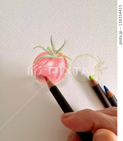 色鉛筆でトマトを描く手元 スケッチブックにリアルなトマトのイラスト制作中 色鉛筆でトマトを描く手元 スケッチブックにリアルなトマトのイラスト制作中 138354415