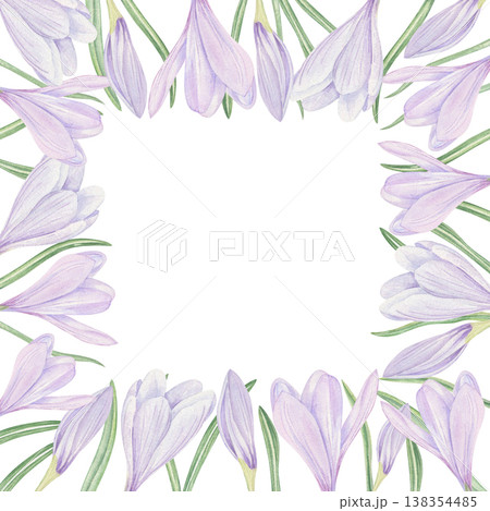 Watercolor crocus flowers greeting template on isolated background. Spring blooming lilac plant square frame with empty space for text. Floral border for greeting cards, Easter stationery 138354485