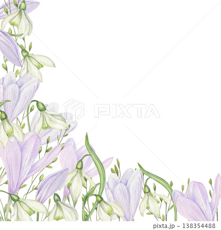 Spring flowers watercolor square border on isolated background. White snowdrops, violet crocuses and grass frame with empty space for text. Floral composition for greeting card, wedding invitation 138354488