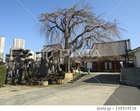 東京都上野周辺にあるお寺を眺める 138354516