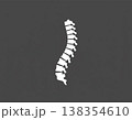 Human Spine Anatomy Minimal Medical Illustration 138354610