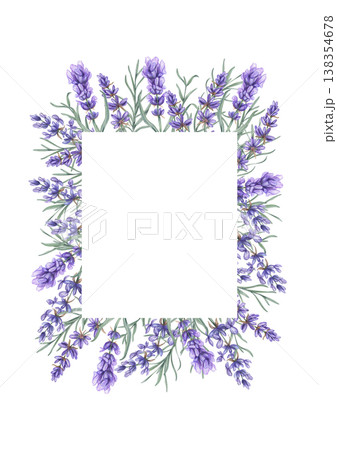 Watercolor purple Lavender flowers border on isolated background. Lilac wildflowers with leaves template. Empty space for text. Mediterranean summer wildflowers border for wedding invitations 138354678