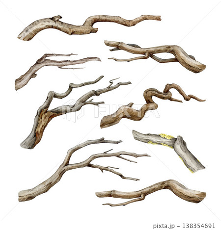 Tree dry branch watercolor illustration set. Hand drawn botanical tree stick element collection. Big tree beautiful curved branch elements isolated on white background. Dry stick natural decoration Tree dry branch watercolor illustration set. Hand drawn botanical tree stick element collection. Big tree beautiful curved branch elements isolated on white background. Dry stick natural decoration 138354691
