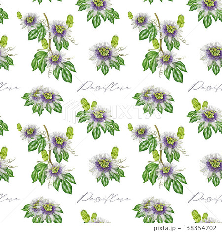 Passiflora flowers, leaves seamless pattern decor element. Hand drawn passion flower vintage style watercolor botanical illustration. Passiflora plant vine seamless pattern on white background Passiflora flowers, leaves seamless pattern decor element. Hand drawn passion flower vintage style watercolor botanical illustration. Passiflora plant vine seamless pattern on white background 138354702