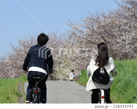 江戸川河川敷の桜並木を自転車で走る男女の後ろ姿 138354743