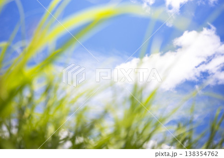 夏草と爽やかな夏空 蒜山高原 夏草と爽やかな夏空 蒜山高原 138354762
