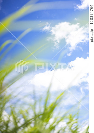 夏草と爽やかな夏空　蒜山高原 138354764
