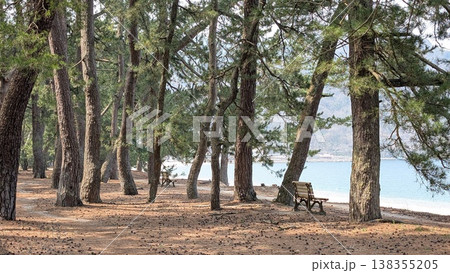 福井県敦賀市　気比の松原 138355205