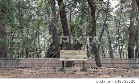 福井県敦賀市　気比の松原 138355220