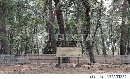 福井県敦賀市　気比の松原 138355221