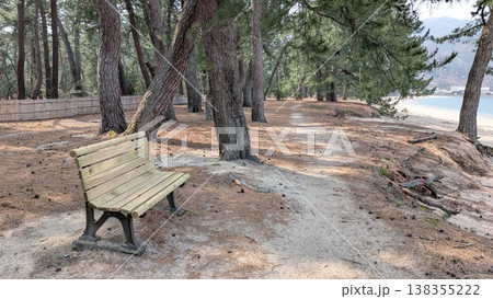 福井県敦賀市　気比の松原 138355222