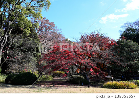 六義園と秋の風景-東京都 138355657