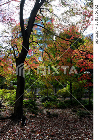 六義園と秋の風景-東京都 138355662