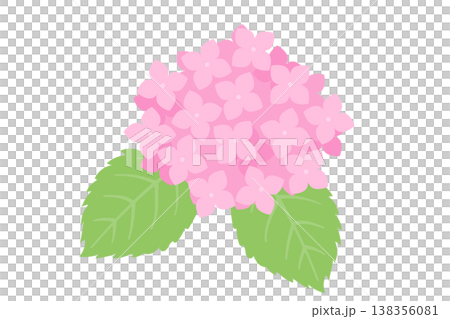 可愛的粉紅色繡球花向量插圖 可愛的粉紅色繡球花向量插圖 138356081