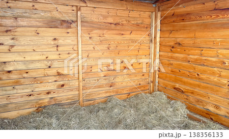 Rustic barn interior featuring warm wooden plank walls and a thick layer of dry hay on the floor 138356133