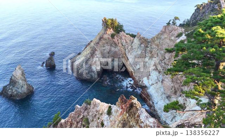 【空撮】松の木越しに望む西伊豆・黄金崎「馬の背」の美しい海岸美 138356227