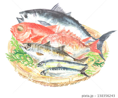 かごに盛られた様々な鮮魚の水彩イラスト 138356243