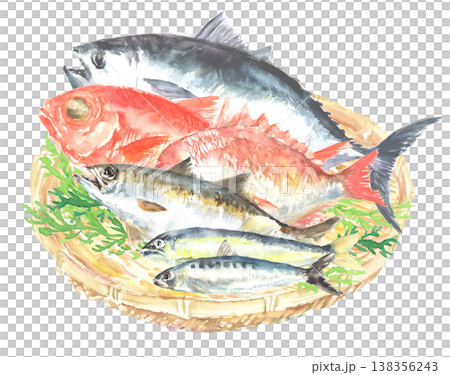 かごに盛られた様々な鮮魚の水彩イラスト 138356243