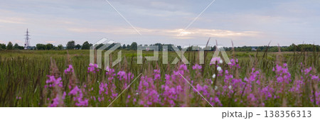 Banner Idyllic Rural Landscape Captured During Twilight With Vibrant Wildflowers And Layered Skies 138356313