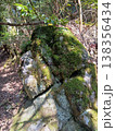 岩と苔 138356434