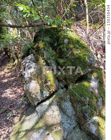 岩と苔 138356434