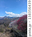 春　梅林と山 138356439
