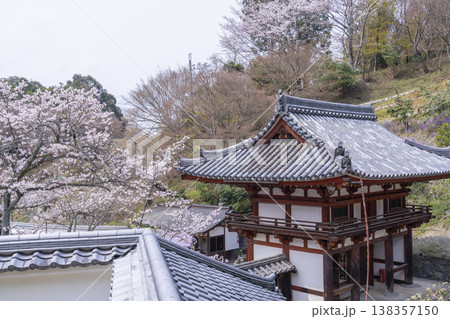 岡寺　仁王門　桜の季節　--奈良県高市郡明日香村岡-- 138357150