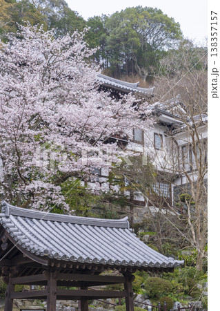 岡寺 桜の季節 --奈良県高市郡明日香村岡-- 岡寺 桜の季節 --奈良県高市郡明日香村岡-- 138357157