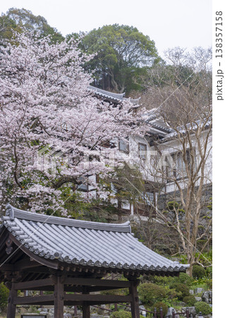 岡寺 桜の季節 --奈良県高市郡明日香村岡-- 岡寺 桜の季節 --奈良県高市郡明日香村岡-- 138357158