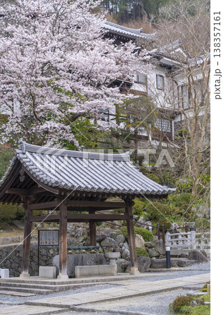 岡寺　手水舎　桜の季節　--奈良県高市郡明日香村岡-- 138357161