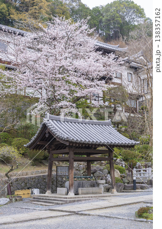 岡寺　手水舎　桜の季節　--奈良県高市郡明日香村岡-- 138357162