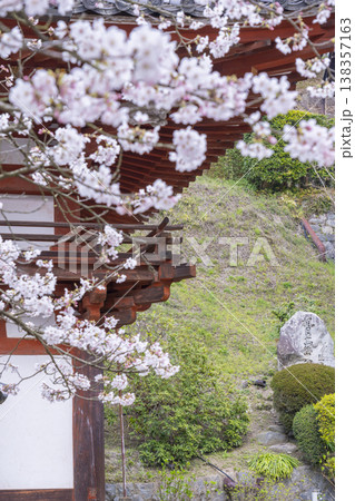 岡寺 仁王門 桜の季節 --奈良県高市郡明日香村岡-- 岡寺 仁王門 桜の季節 --奈良県高市郡明日香村岡-- 138357163